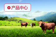 产品中心